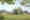 Kindergarten Magic-Garden_2