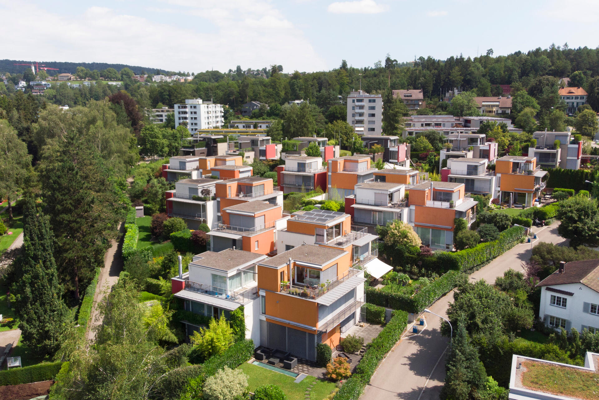 Rebwies Featured Image 1