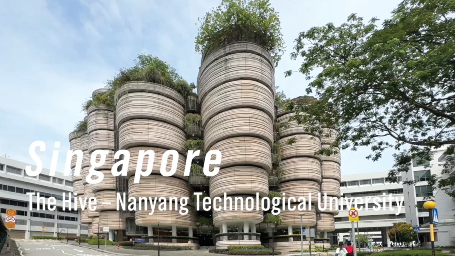 Workation in Singapore | The Hive