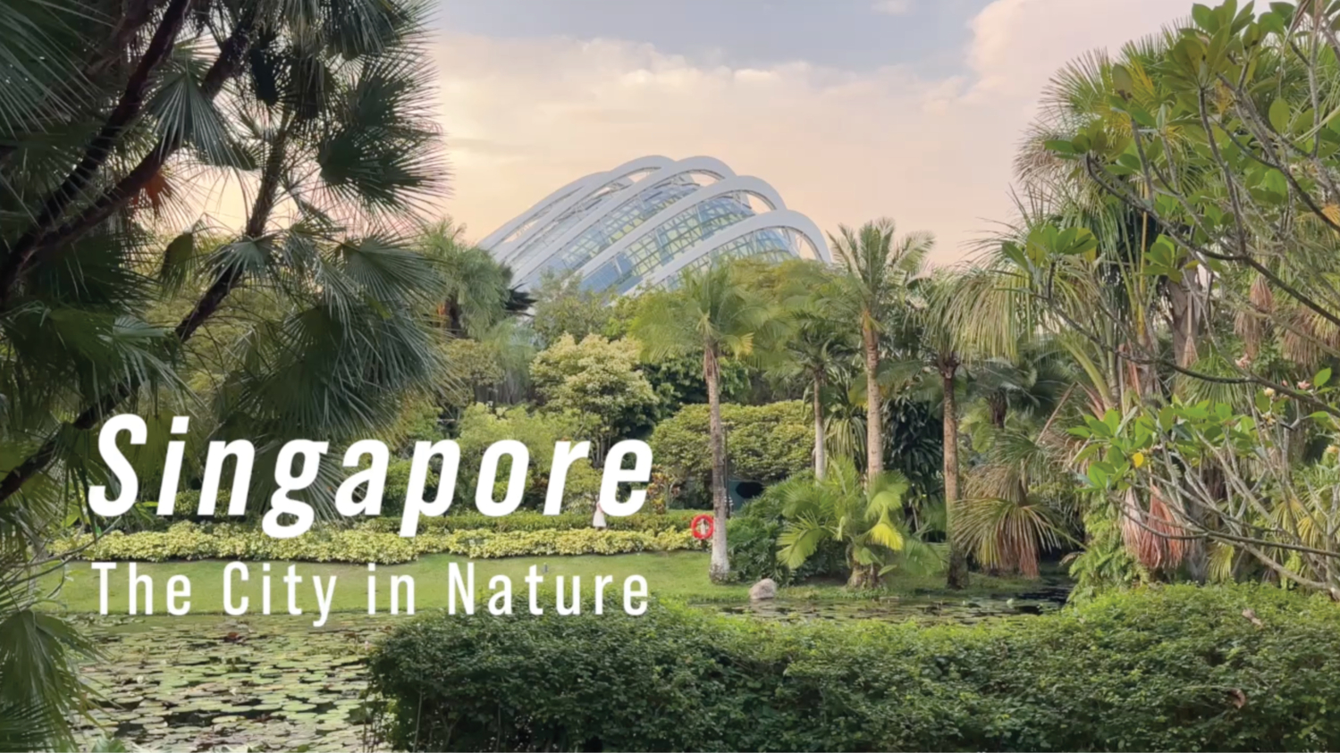 Workation in Singapore | Urban Nature